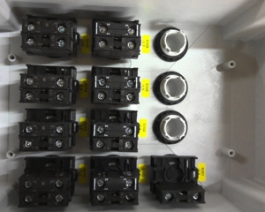 control panel Kom. Landschweine von Thun